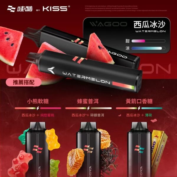 WAGOO哇酷拋棄式6500口